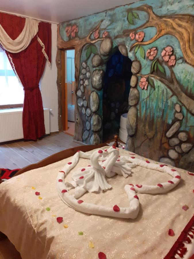 Pensiunea Dracula & Spa Căpăţîneni-Ungureni Dış mekan fotoğraf